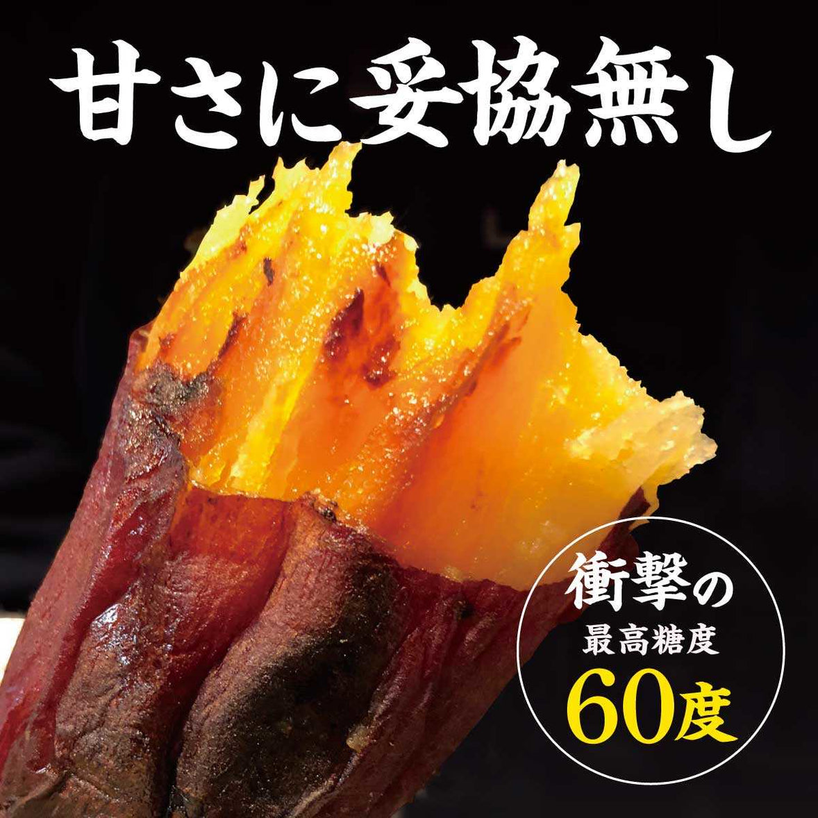 熟成焼き芋 茨城県産 紅はるか しっとり甘い焼き芋